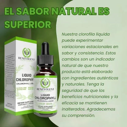 Clorofila Liquida